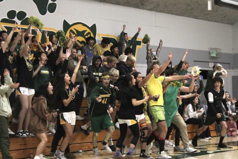 And Now… A Brief History of the Panther Pit