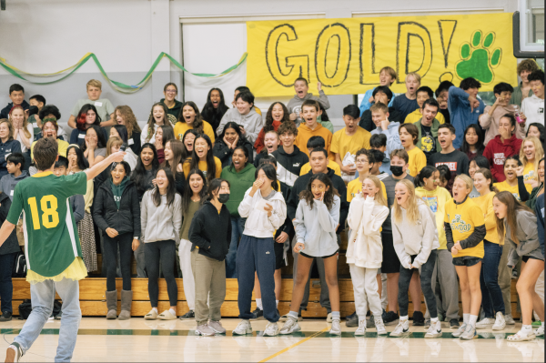 Students cheer at a green and gold assembly