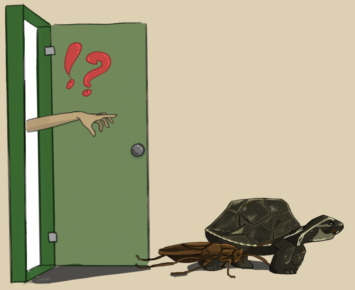 Science Classroom Animals Escape