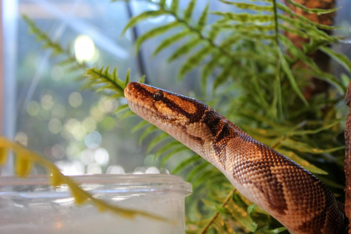 Science Teachers Turn Classrooms Into Living Laboratories