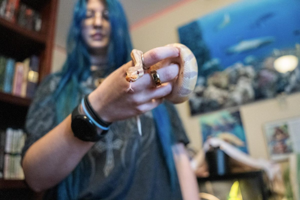 Photo by Sean Sirhan